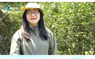 来福建 ，享福气，自由自在好生活