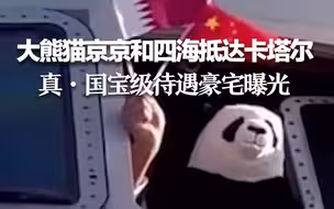 大熊猫京京和四海抵达卡塔尔，真·国宝级待遇“豪宅”曝光