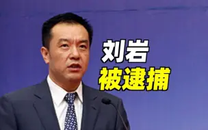 大连原副市长刘岩被逮捕，曾盲目听信“政治骗子”