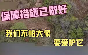 保障措施已做好 我们不怕大象 要爱护它