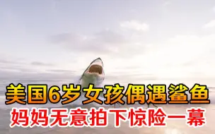 只有几厘米远！美国6岁女孩海滩偶遇鲨鱼，妈妈无意拍下惊险一幕