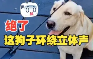 淘气狗子吞掉蓝牙音箱 开口自带环绕立体声