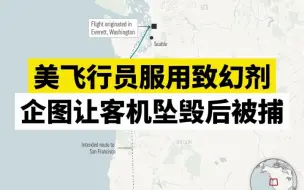 美飞行员服用致幻剂，企图让客机坠毁后被捕