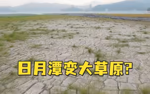 日月潭变大草原？因缺水潭底干枯，龟裂成块状