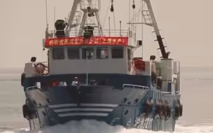 这一幕真暖！中国渔船亮国旗感谢海军护航