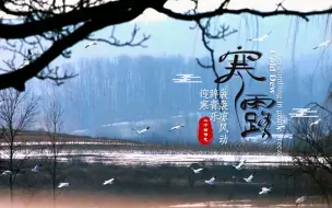寒露：袅袅凉风动 辞青乐迎寒