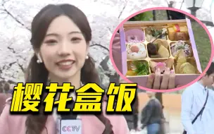 坐在樱花树下吃樱花盒饭 日本人笑称哪怕请假也要来