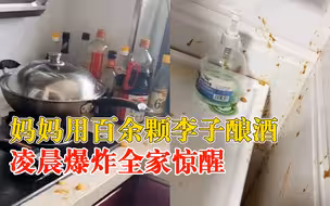 妈妈酿李子酒凌晨爆炸吓醒全家，女儿：做了2次全都炸了