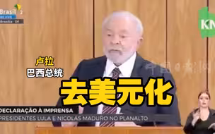 巴西总统批美国制裁委内瑞拉 再提“去美元化”