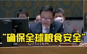 联合国安理会审议乌克兰人道问题 中方呼吁采取措施确保全球粮食安全