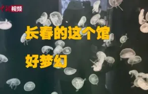 长春“水母秘境”如梦如幻