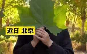 男子用树叶为姥姥制作纯天然“秋色”床单，成品太惊艳了!