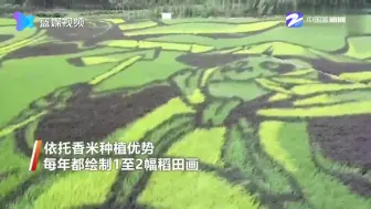 妙啊！稻田里长出功夫熊猫
