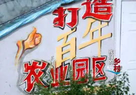 通州生态采摘园园主讲述十年耕耘之路：由黑转绿的道路走对了！