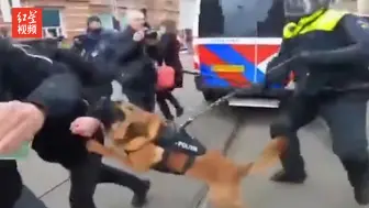 荷兰警察放狗撕咬反防疫抗议者 现场一片混乱