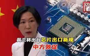 外交部敦促荷兰：不要跟随个别国家滥用出口管制