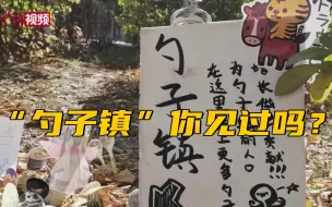 吉林高校学生建“勺子镇”呼吁环保