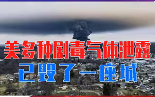 多种剧毒气体泄露，大批动物死亡，美版切尔诺贝利，已毁了一座城