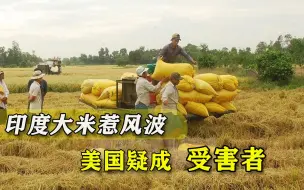 重度饥饿还卖“问题米”？印度打肿脸充胖子，惹出风波