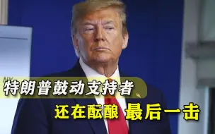 最后时刻真要搞事？特朗普发“战斗檄文”，一帮共和党人按捺不住