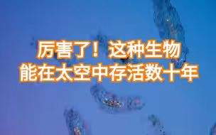 缓步动物能在太空放缓甚至暂停新陈代谢
