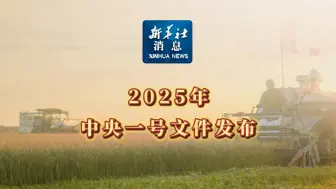 新华社消息｜2025年中央一号文件发布