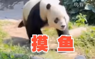 当“萌二”遇上38度高温天气，明目张胆地“上班摸鱼”，网友：这班上了又好像没上