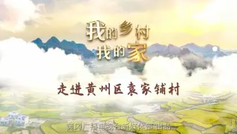 夏日好时光|走进黄州区袁家铺村