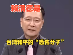 赵少康：赖清德是台湾和平的“恐怖分子”