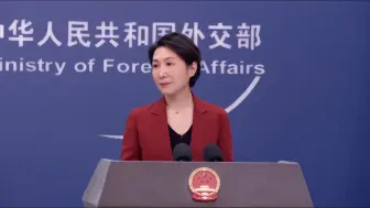 外交部：中方愿同各方合作 做动荡世界中的稳定力量