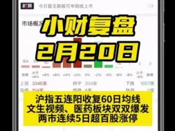 沪指五连阳收复60日均线，文生视频、医药板块双双爆发，两市连续5日超百股涨停