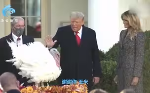特朗普赦免感恩节火鸡 当场被大声提问：你卸任前会赦免自己吗？