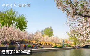 中报观察：你去过的哪个国家和了解的不一样