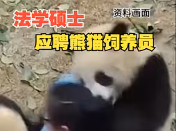 招聘现场，有法学硕士应聘熊猫饲养员