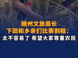 随州文旅局长下田和乡亲们比赛割稻 ：太不容易了 希望大家尊重农民