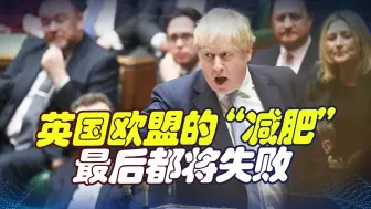 英国省电欧盟省气，不一样的奖惩，却似乎是一样的结果