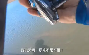 意想不到！男子水上钓鱼以为鱼饵缠上木棍 费劲拉起来一看吓一跳