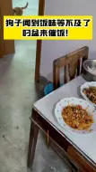 狗子闻到饭味等不及了 叼盆来催饭！