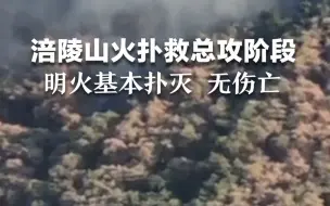 涪陵山火扑救进入总攻阶段，多架直升机出动。目前，明火已基本扑灭，无人员伤亡。