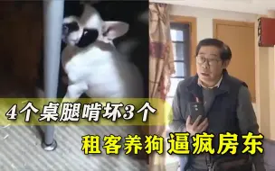 4个桌腿啃坏3个，沙发、窗帘全咬坏，租客养狗逼疯房东还不愿赔