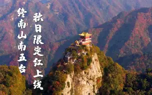 层林尽染！终南山南五台秋日限定红上线