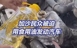 “找不到任何东西给孩子吃”，加沙南部人道主义危机异常严峻
