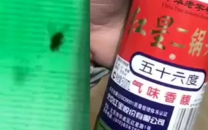 网友买来红星二锅头发现酒里泡了只苍蝇 公司回应：假冒伪劣产品