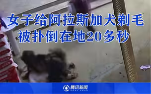 女主人给宠物狗剃毛不慎划伤，被扑倒压住20秒无法动弹：没舍得打