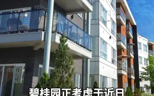 碧桂园正考虑于近日  公布境外债重组计划