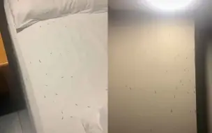 密恐慎入！入住酒店感觉有东西在脸上爬 一开灯密密麻麻全是黑点