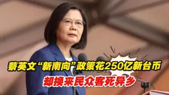 蔡英文“新南向”政策花250亿新台币，却换来民众客死异乡