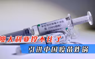 莫里森万没想到，“引进中国疫苗”突然炸锅，澳情况紧急撑不住了