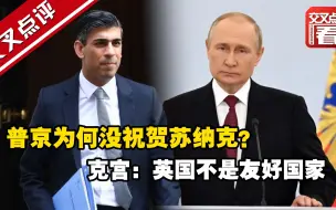 普京为何没祝贺苏纳克？克宫：英国不是友好国家