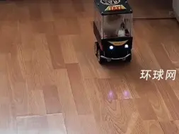 起猛了，宠物老鼠也学会开车了，并成功到达目的地拿到了奖励